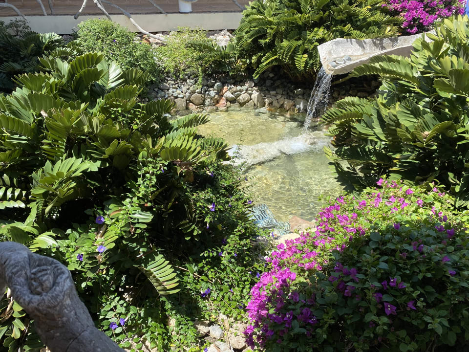Gartenanlage Paradisus Rio de Oro Resort & Spa - Adults only