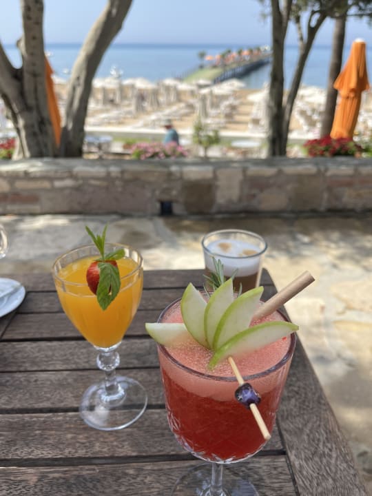 Gastro Arum Barut Collection