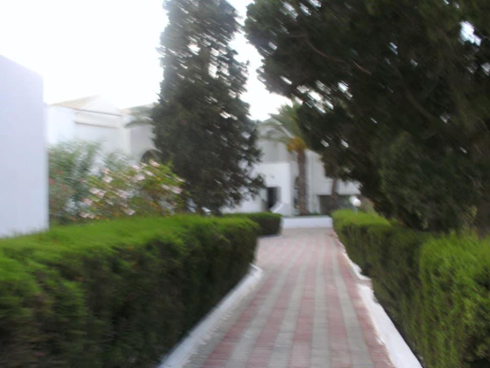 Weg vom Bungalow aus Royal Lido Resort & Spa