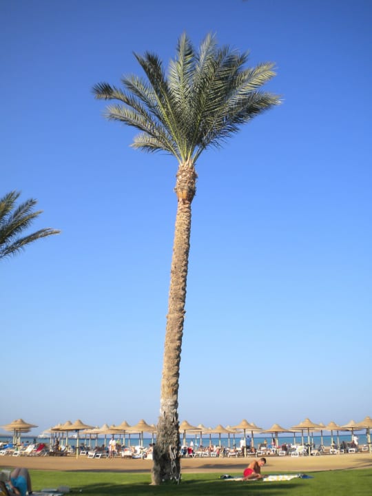 Strand Stella Beach Resort & Spa Makadi Bay