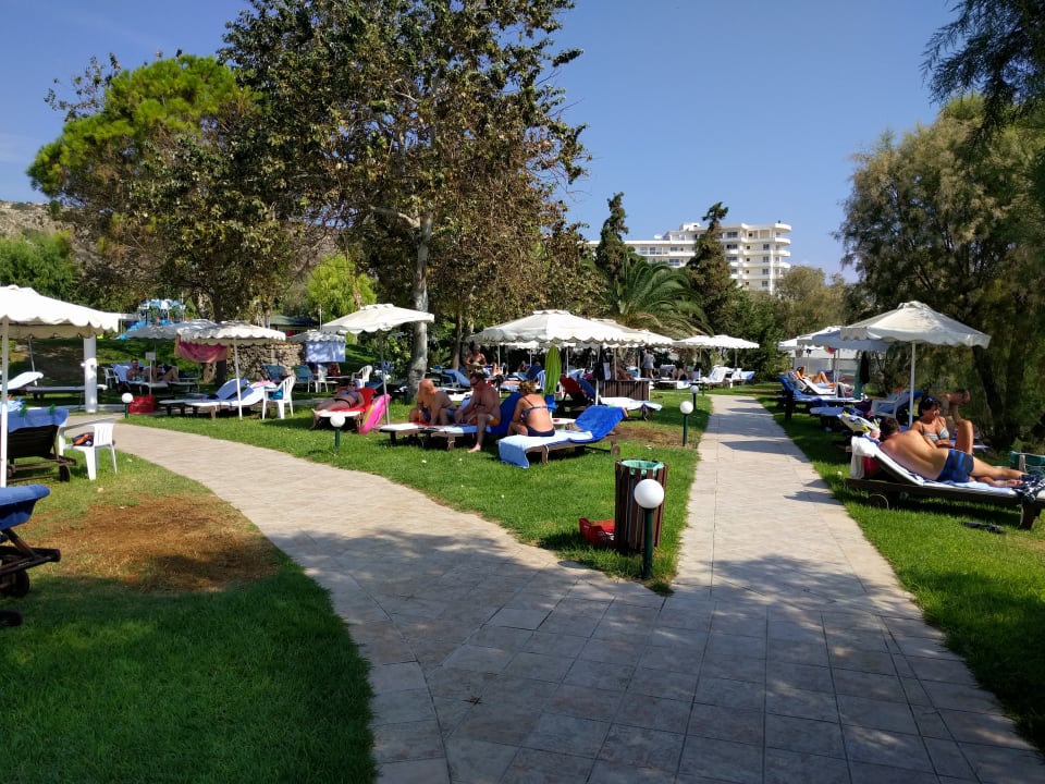 Gartenanlage Hotel Calypso Beach