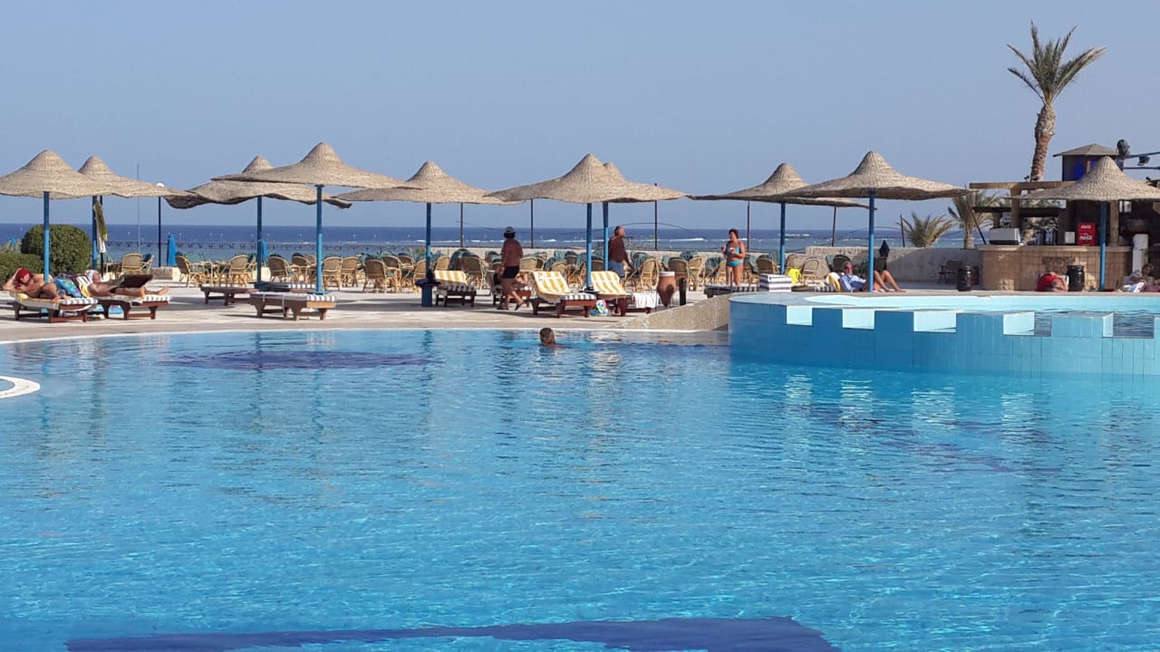 Swimming Pool Blue Reef Red Sea Resort