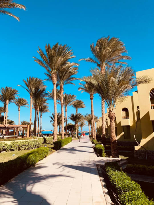 Außenansicht Palm Beach Resort