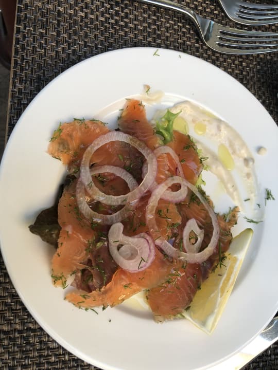 Gastro Acanthus Cennet Barut Collection