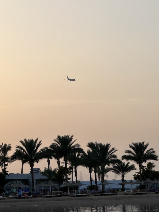 Ausblick Desert Rose