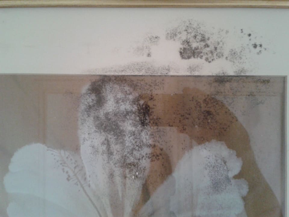 Hotel Old palace resort Old Palace Resort Sahl Hasheesh