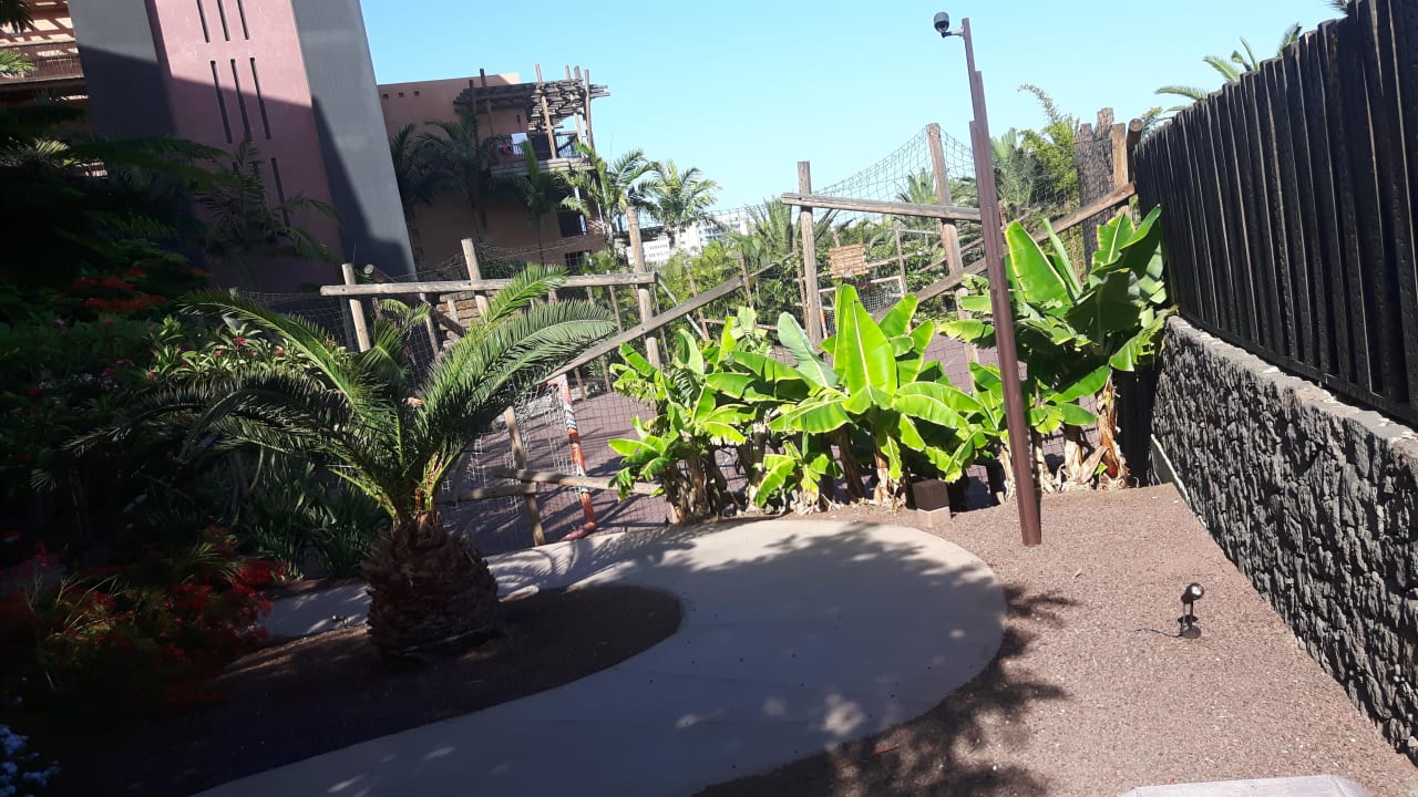 Fußballplatz Lopesan Baobab Resort