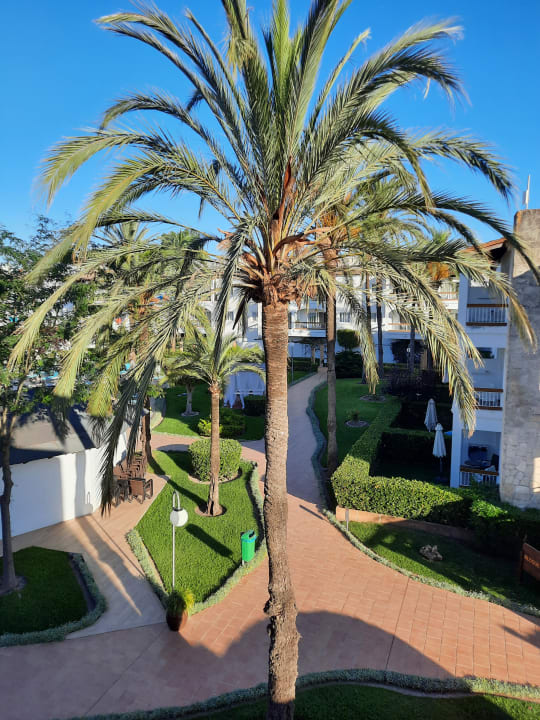 Ausblick Alcudia Garden Aparthotel
