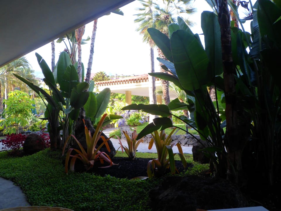 Gartenanlage Tigaiga Suites