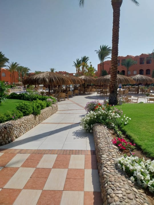 Pool Jaz Makadi Oasis Resort