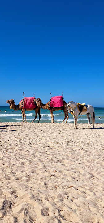 Strand Welcome Meridiana Djerba Hotel