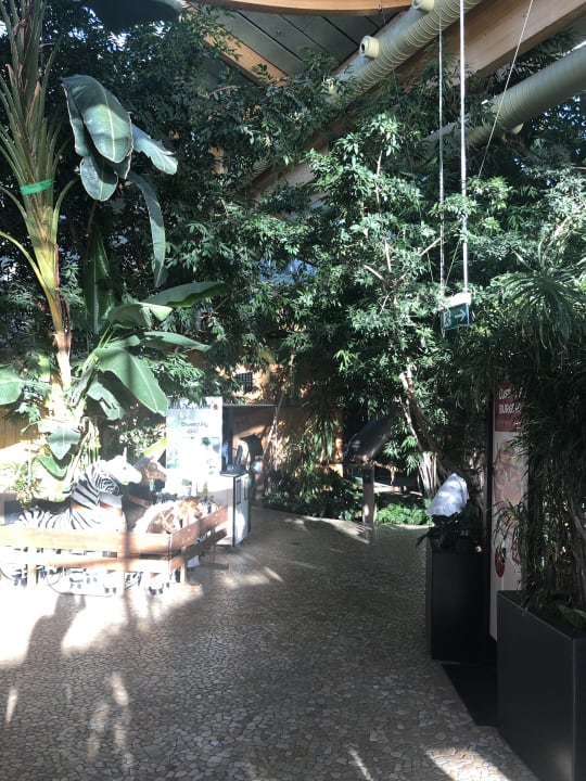 Gartenanlage Center Parcs Park Bostalsee