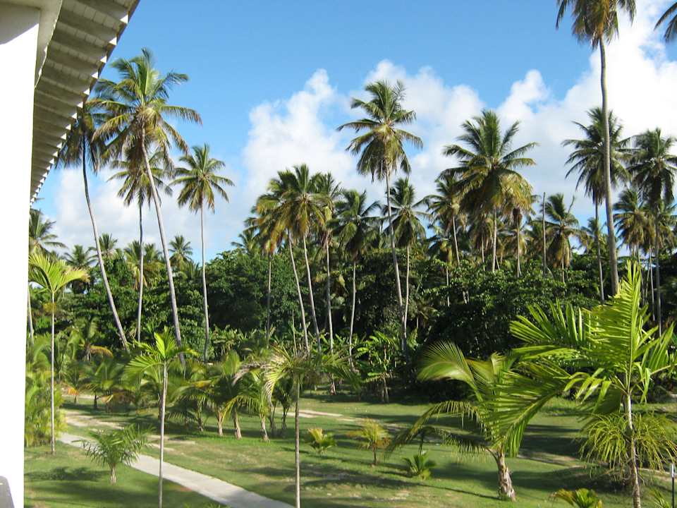 Aussicht vom Zimmer Villas Bavaro Resort & Spa
