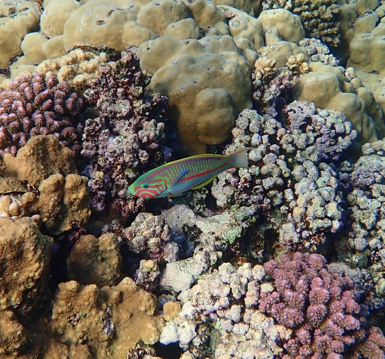 Strand Casa Mare Resort