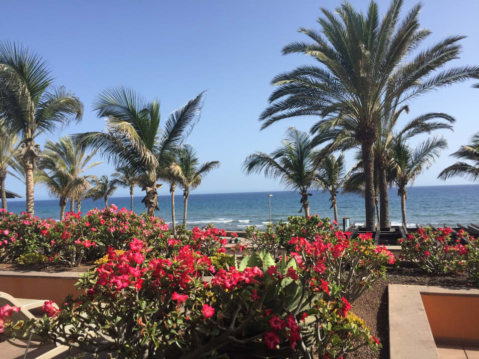 Ausblick Lopesan Costa Meloneras, Resort & Spa