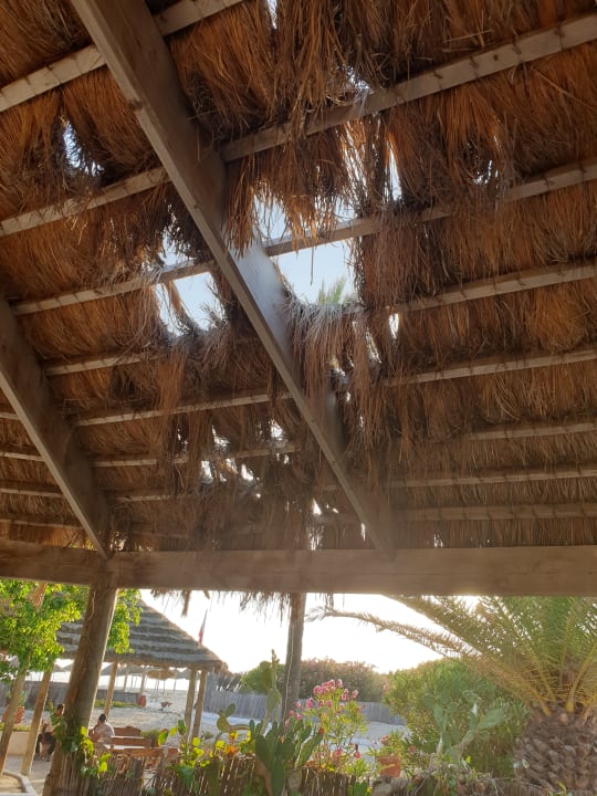 Sonstiges Hotel Club Tropicana & Spa