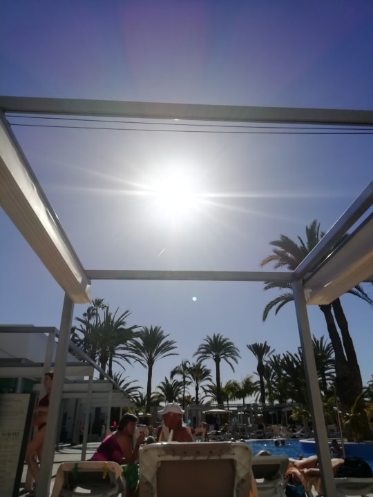 Pool Hotel Riu Papayas