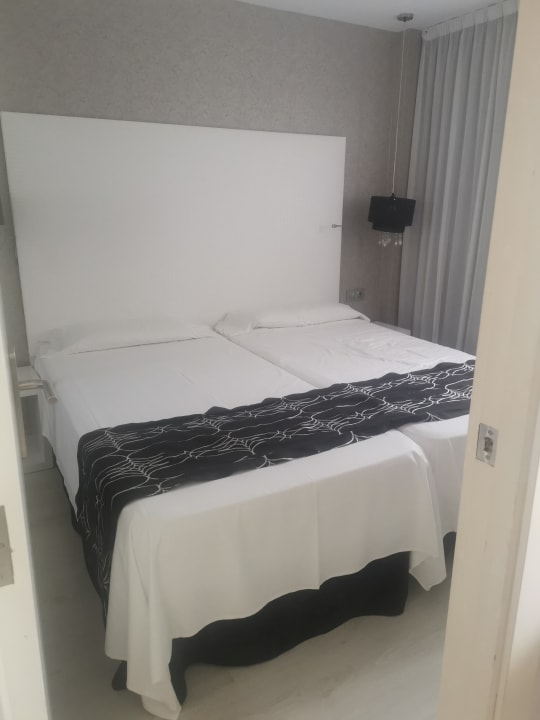 Zimmer Alcudia Garden Aparthotel