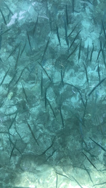 Strand Summer Island Maldives