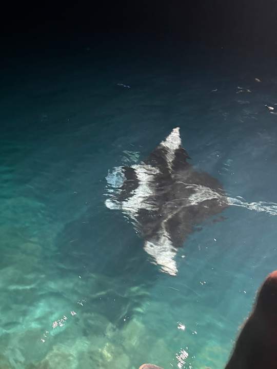 Sonstiges TUI BLUE Olhuveli Romance