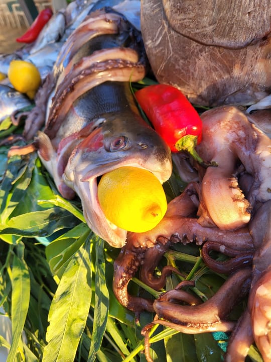 Gastro Glamour Resort & Spa