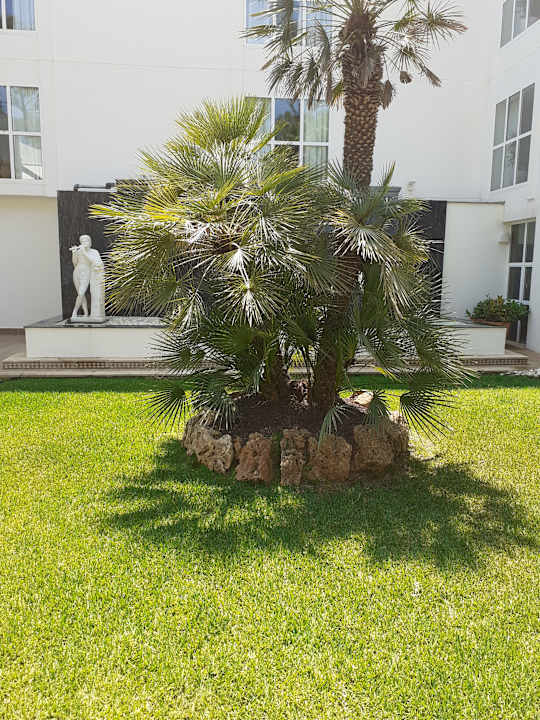 Gartenanlage allsun Hotel Cormoran