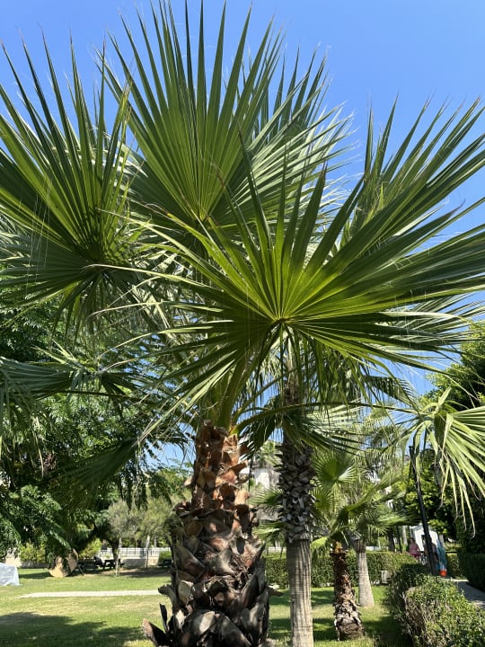 Gartenanlage Bella Resort & Spa