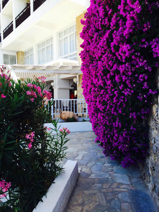 Anlage Dimitra Beach Hotel & Suites