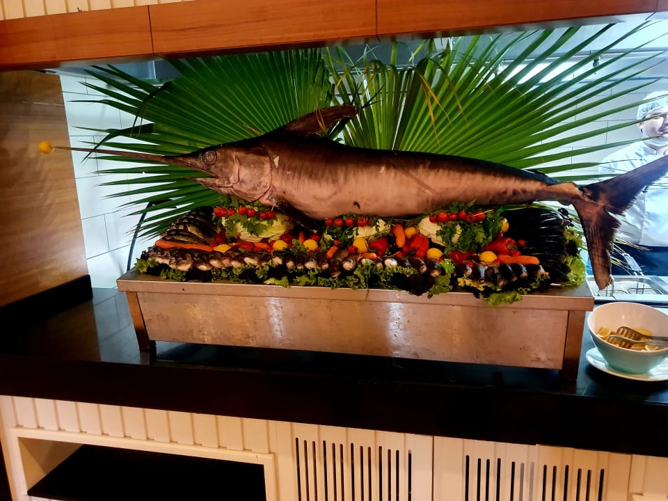 Gastro Paloma Oceana