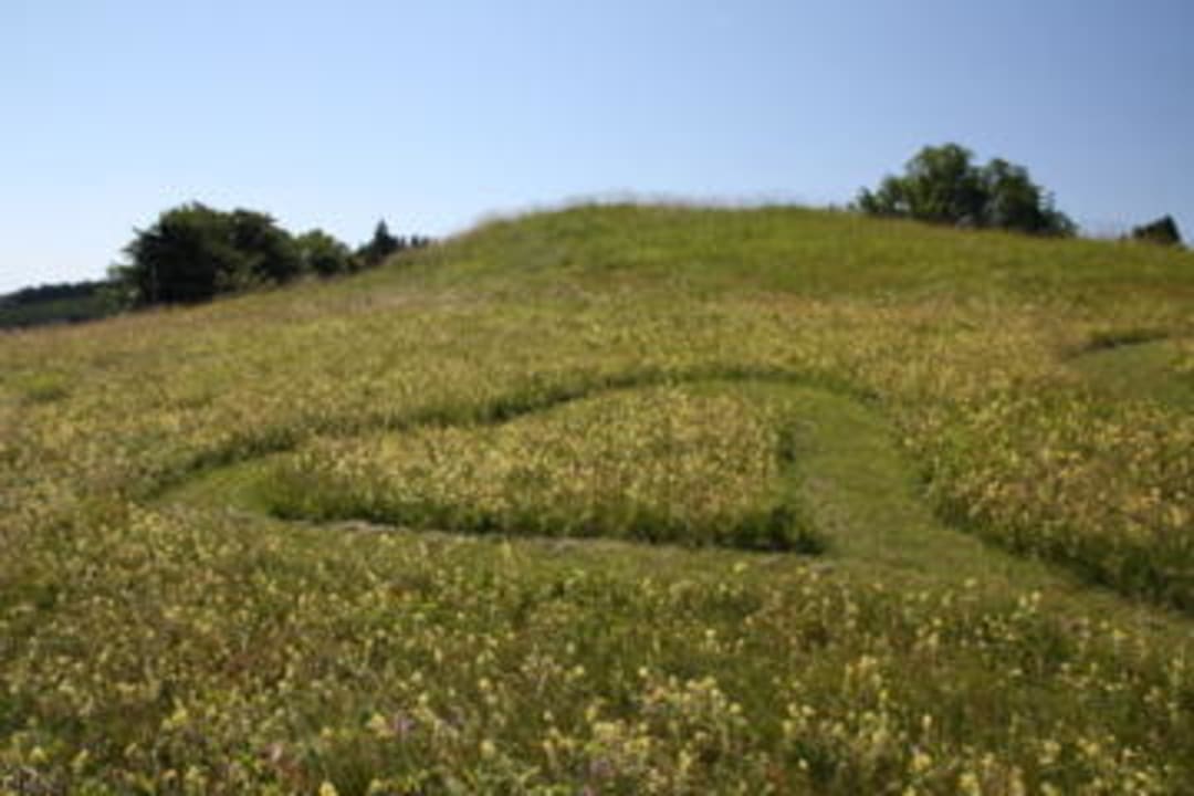 Herzlich Willkommen auf der Wildwiese Hotel Rockenschaub AUSZEIT 1000m über dem Alltag!