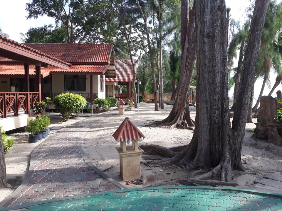 Gartenanlage Hotel Bayview Beach Resort