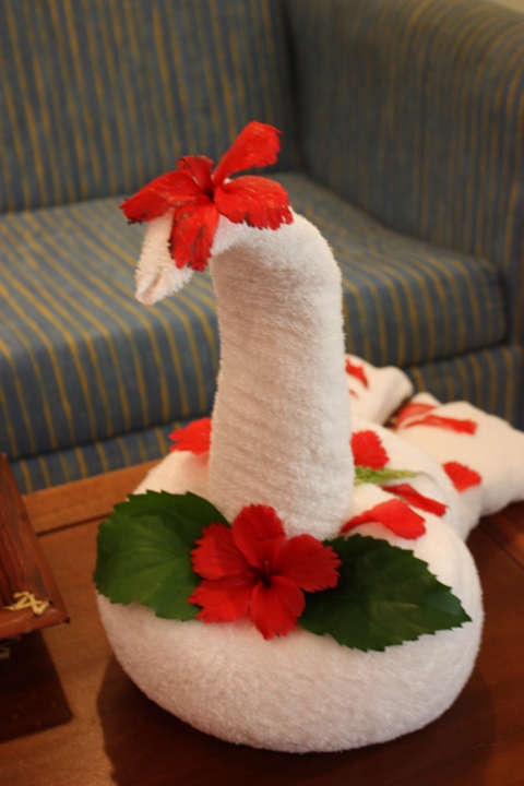 Jeden Tag ein neuer Schwan Grand Palladium Select Bávaro Resort & Spa