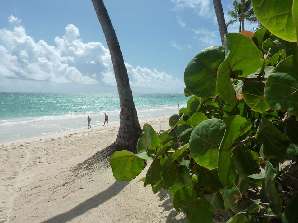 Strand Punta Cana Princess All Suites Resort & Spa