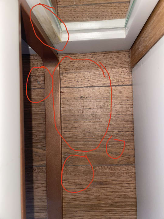 Zimmer Mylome Luxury Hotel & Resort