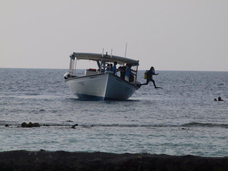 Tauchen vom Boot Kuramathi Maldives