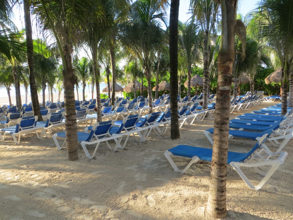 Jede Menge Liegen am Strand Viva Azteca by Wyndham - All Inclusive Resort
