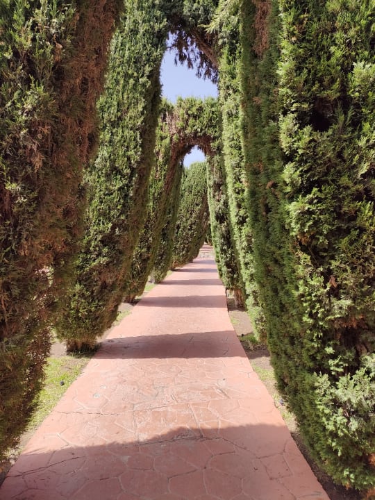 Gartenanlage allsun Hotel Esplendido