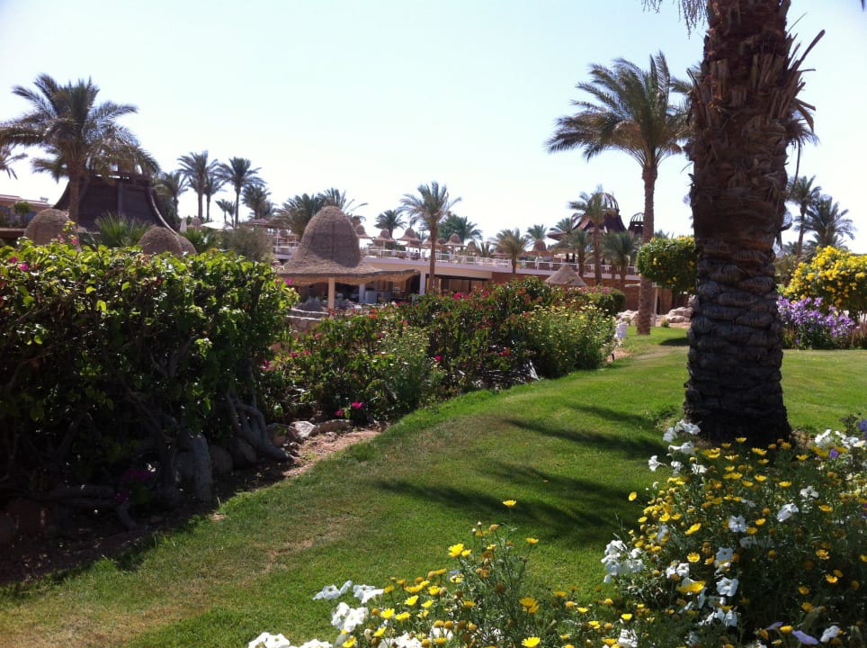 Hvjvbkjb Parrotel Beach Resort