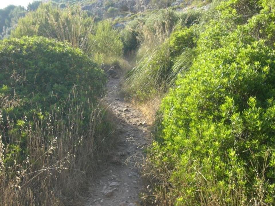 400 m Weg vom Hotel zum Strand HSM Canarios Park