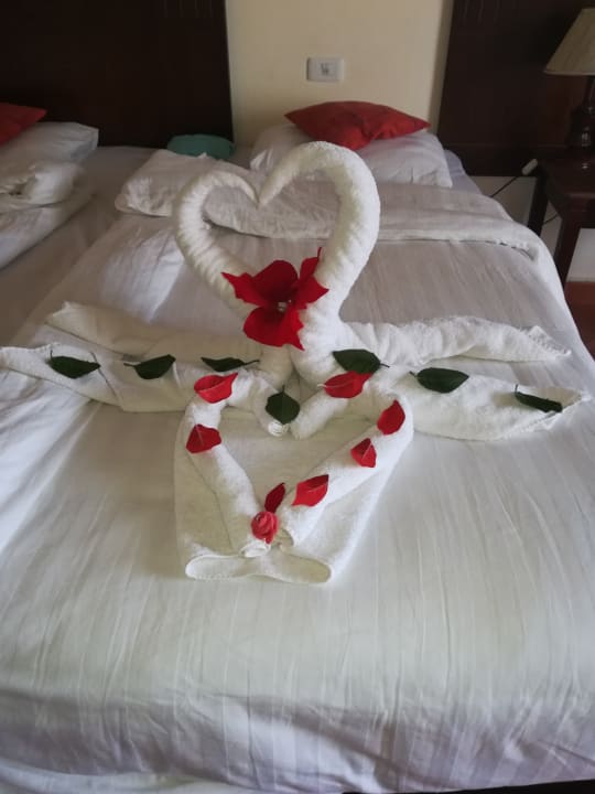 Zimmer Three Corners Sea Beach Resort