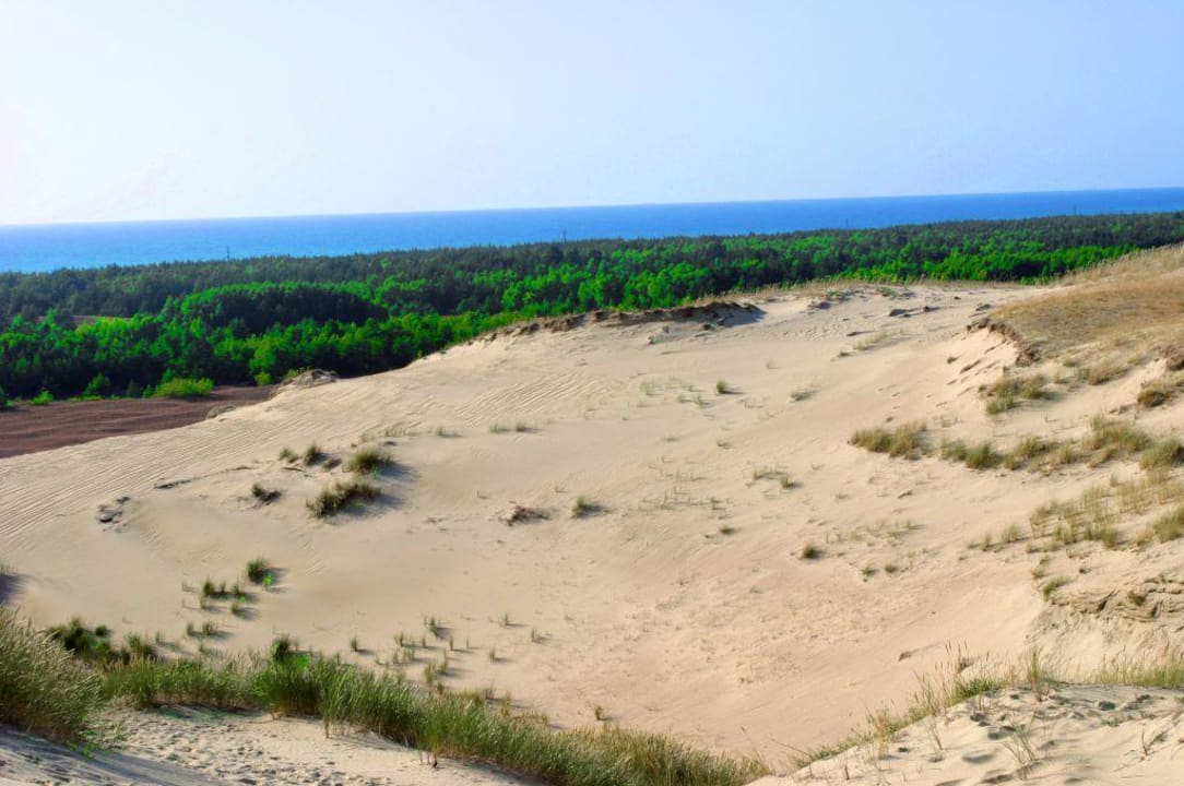 Hotel beach Kungis Inn