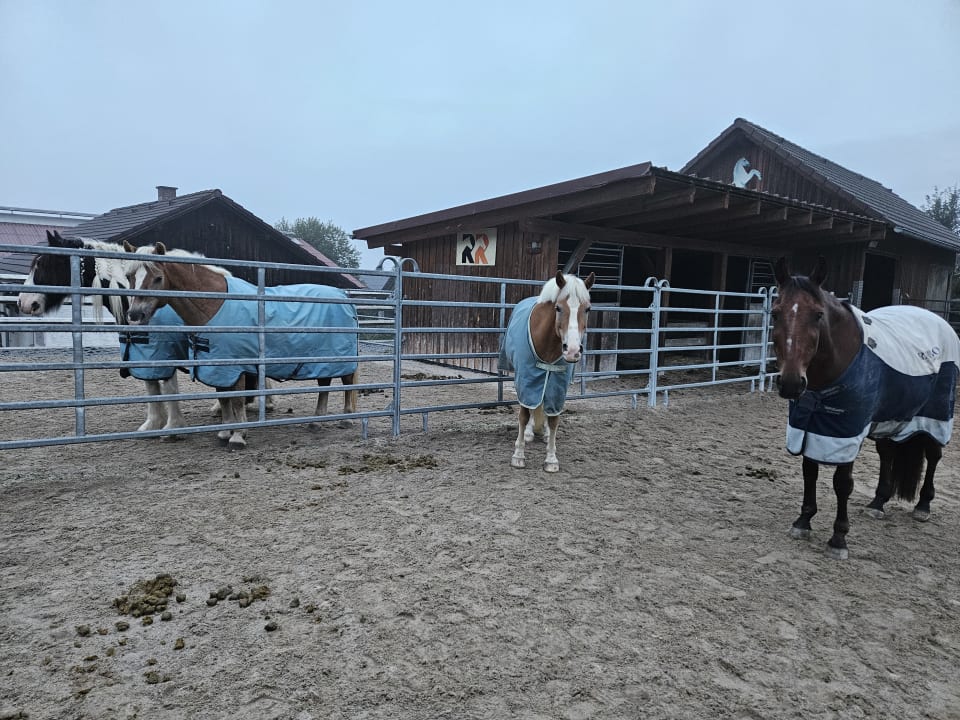 Sport & Freizeit Gasthof & Reiterhof Rameder