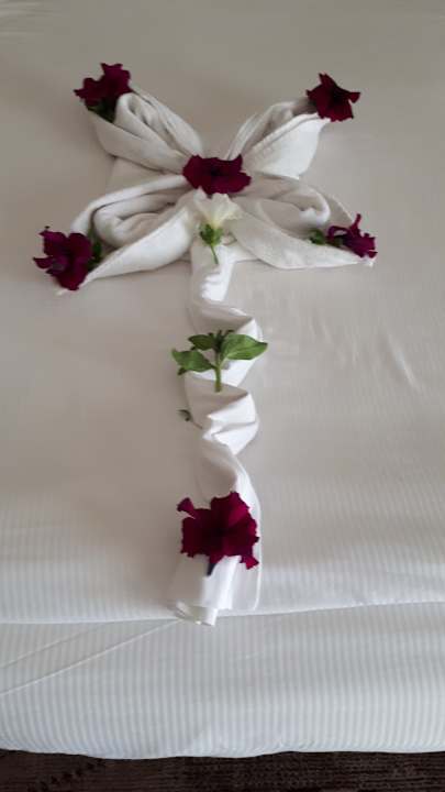 Zimmer Pickalbatros Dana Beach Resort - Hurghada