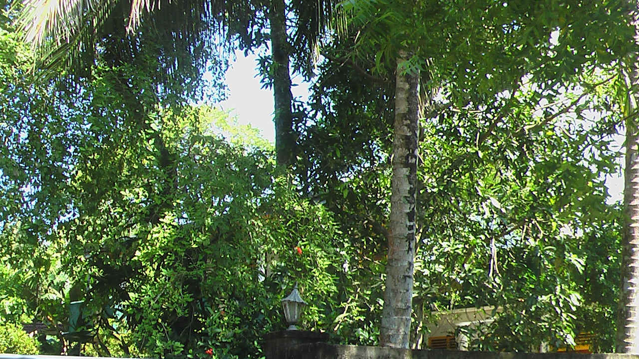 Sonstiges Sunshine Guesthouse