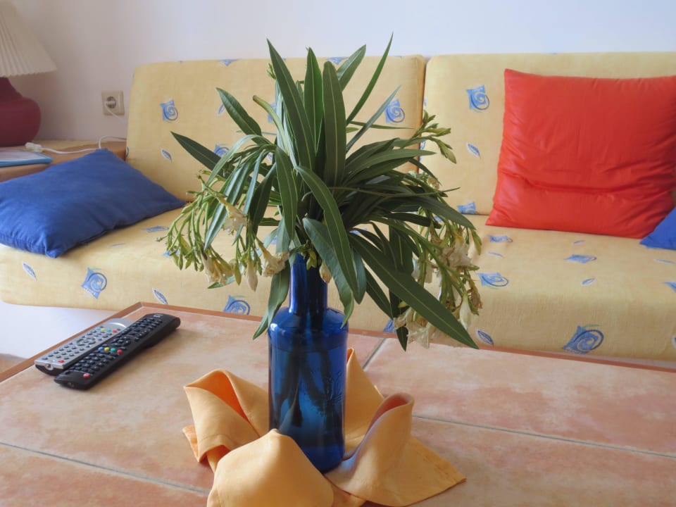 Einfach ignorieren Marina Playa Suite Hotel