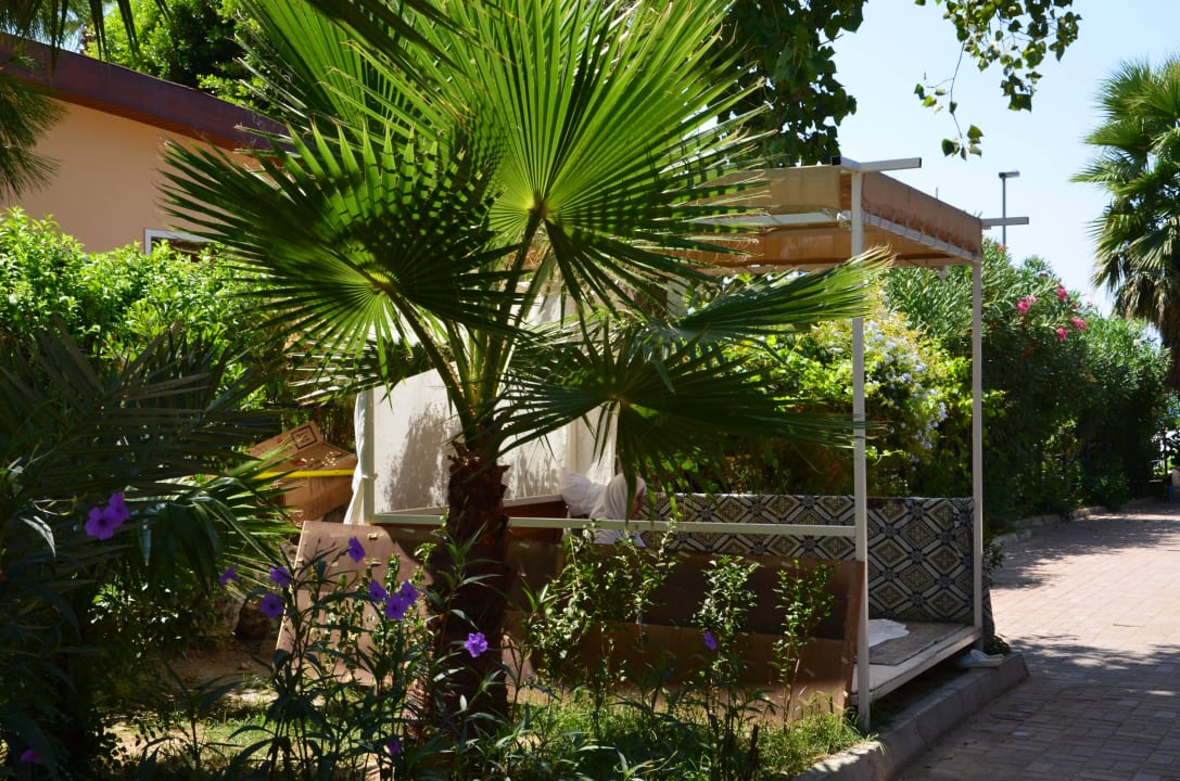 Überall leckeres Essen Seaden Corolla Hotel