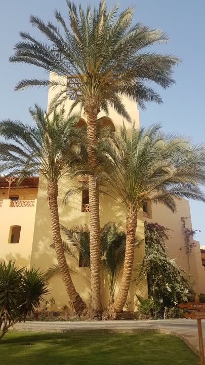 Gartenanlage Steigenberger Coraya Beach - Adults only