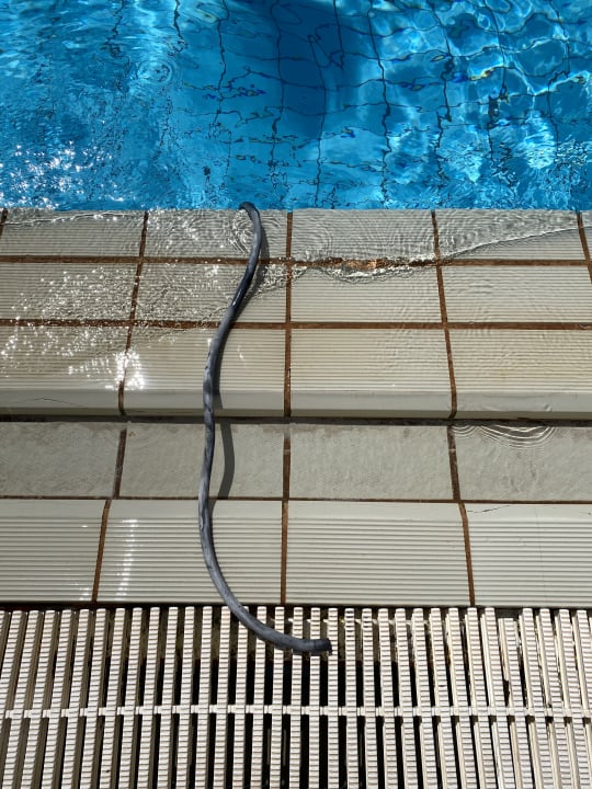 Pool Hotel El Mouradi Djerba Menzel