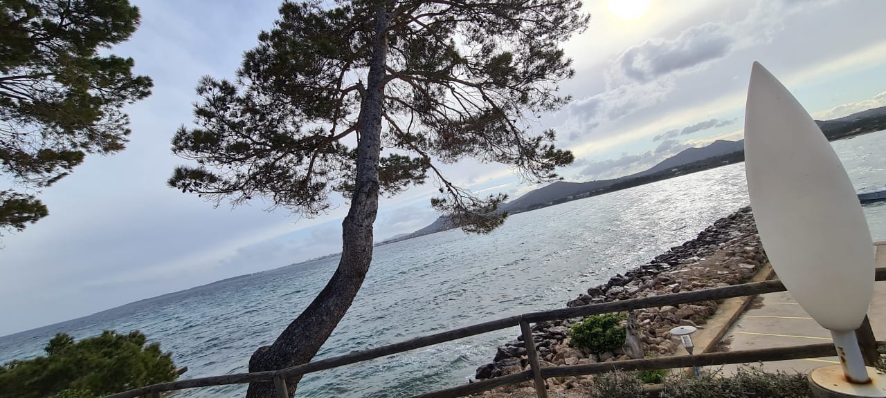 Ausblick Hipotels Eurotel Punta Rotja Golf & Spa