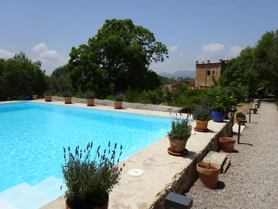 Pool Hotel Son Boronat